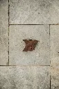 _LAN8961.webp
